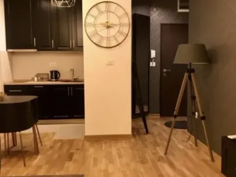 Izdavanje, jednosoban stan, 45m², City Kej, Podgorica - image 5