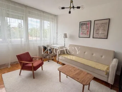 Izdavanje, jednosoban stan, 35m², Zemun Sve Podlokacije, Beograd - image 8