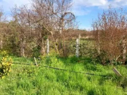 Sale, land lot, 560m², Ulcinj, Crna Gora