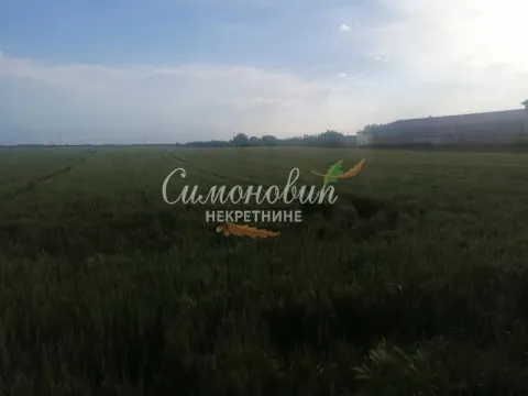 Sale, land lot, 22200m², Centar, Inđija - image 2