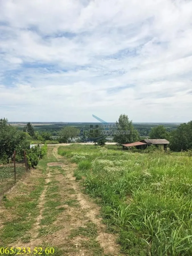 Pogled na zeleni plac sa zemljanim putem i rastinjem.