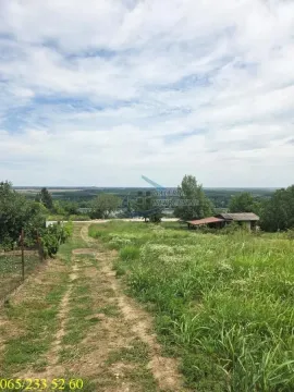 Pogled na zeleni plac sa zemljanim putem i rastinjem. - image 9