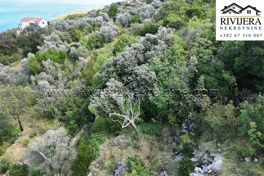Prodaja, plac, 2985m², Zabrđe, Herceg Novi