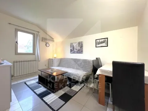 Rent, one bedroom apartment, 28m², Zagorič, Podgorica - image 2