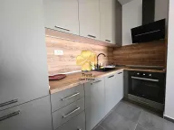 Izdavanje, jednosoban stan, 50m², Master Kvart, Podgorica - image 4