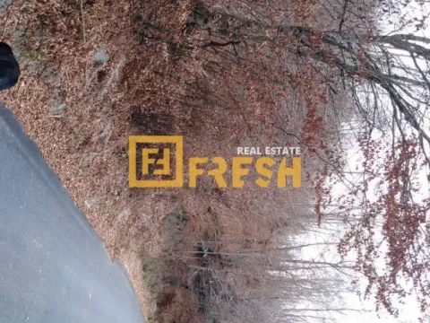 Sale, land lot, 500m², Ostalo, Podgorica - image 5