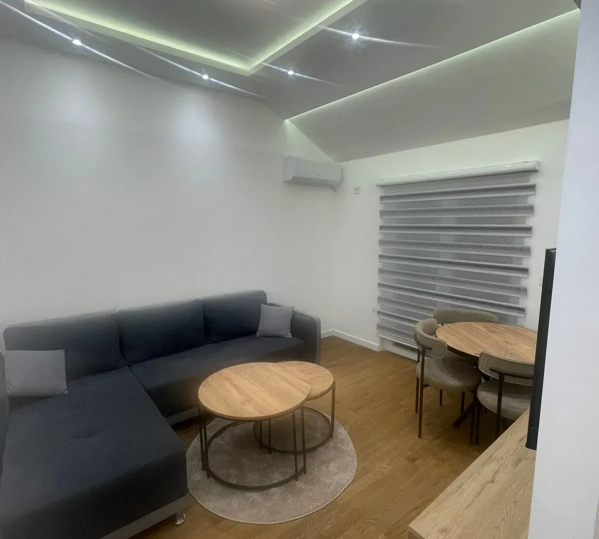 Izdavanje, jednosoban stan, 55m², Zagorič, Podgorica