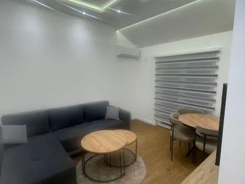 Izdavanje, jednosoban stan, 55m², Zagorič, Podgorica