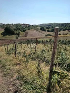 Prodaja, kuća, 30m², Lučani, Srbija - image 11