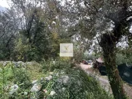 Prodaja, plac, 28m², Orahovac, Kotor - image 5