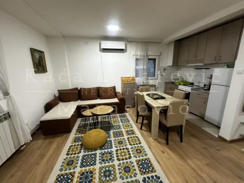 Izdavanje, dvosoban stan, 48m², Voždovac Sve Podlokacije, Beograd - image 5