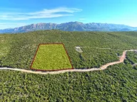 Prodaja, plac, 18487m², Zagora, Kotor - image 9