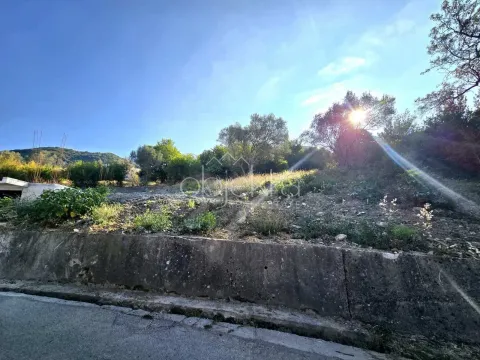 Pogled na plac sa zelenilom i drvećem. - image 2