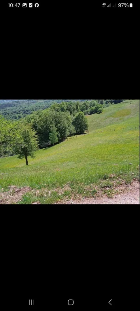 Prostrana zelena livada okružena šumom na padini.
