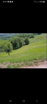 Prostrana zelena livada okružena šumom na padini. - image 5