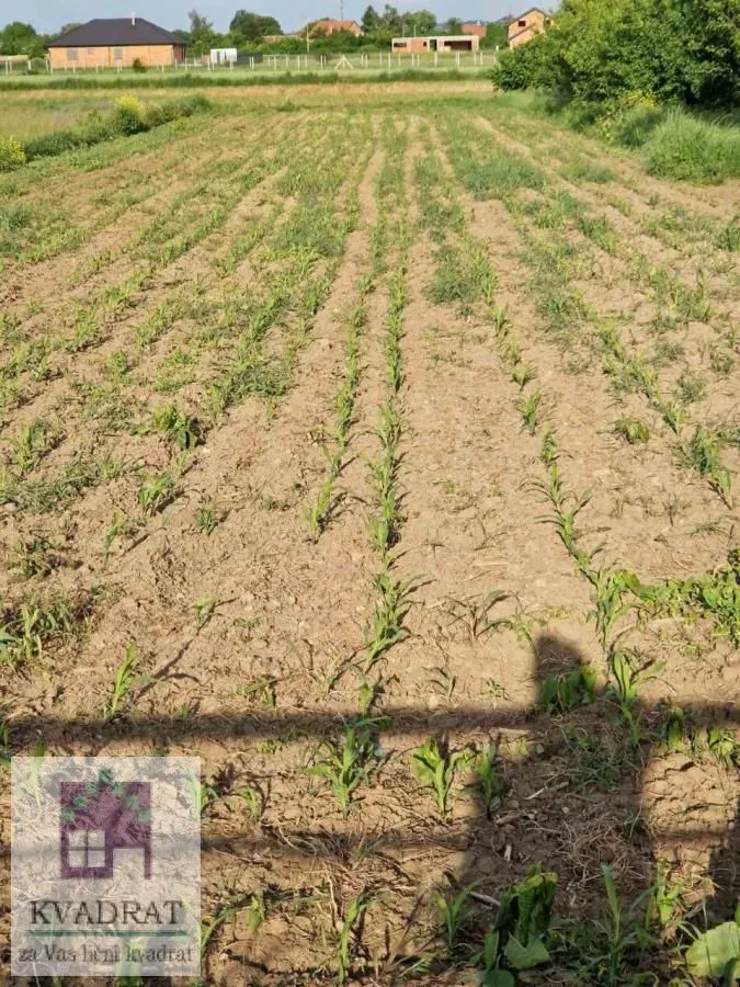 Prodaja, plac, 1200m², Zvečka, Obrenovac