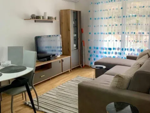 Sale, one bedroom apartment, 42m², Lazi, Budva - image 1