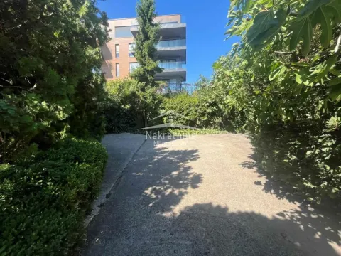 Access road to the building surrounded by greenery and trees. - image 6