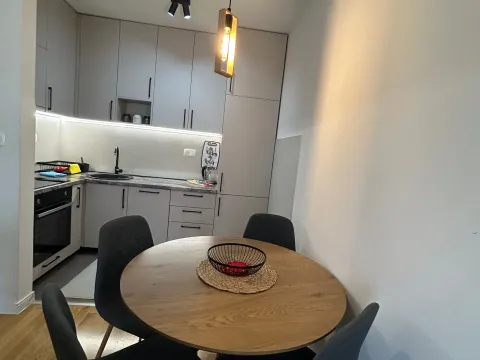 Rent, one bedroom apartment, 45m², Pobrežje, Podgorica - image 4