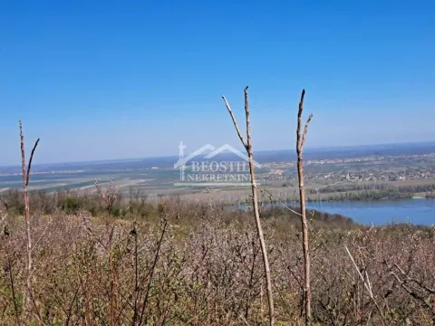 Sale, land lot, 4700m², Ritopek, Grocka - image 5