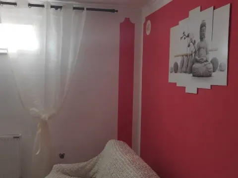 Prodaja, jednosoban stan, 30m², Telep, Novi Sad Sve Podlokacije - image 3