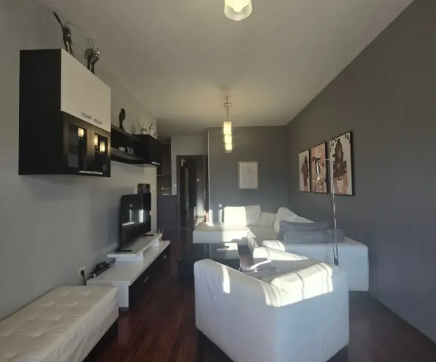 Izdavanje, jednosoban stan, 55m², Preko Morače, Podgorica