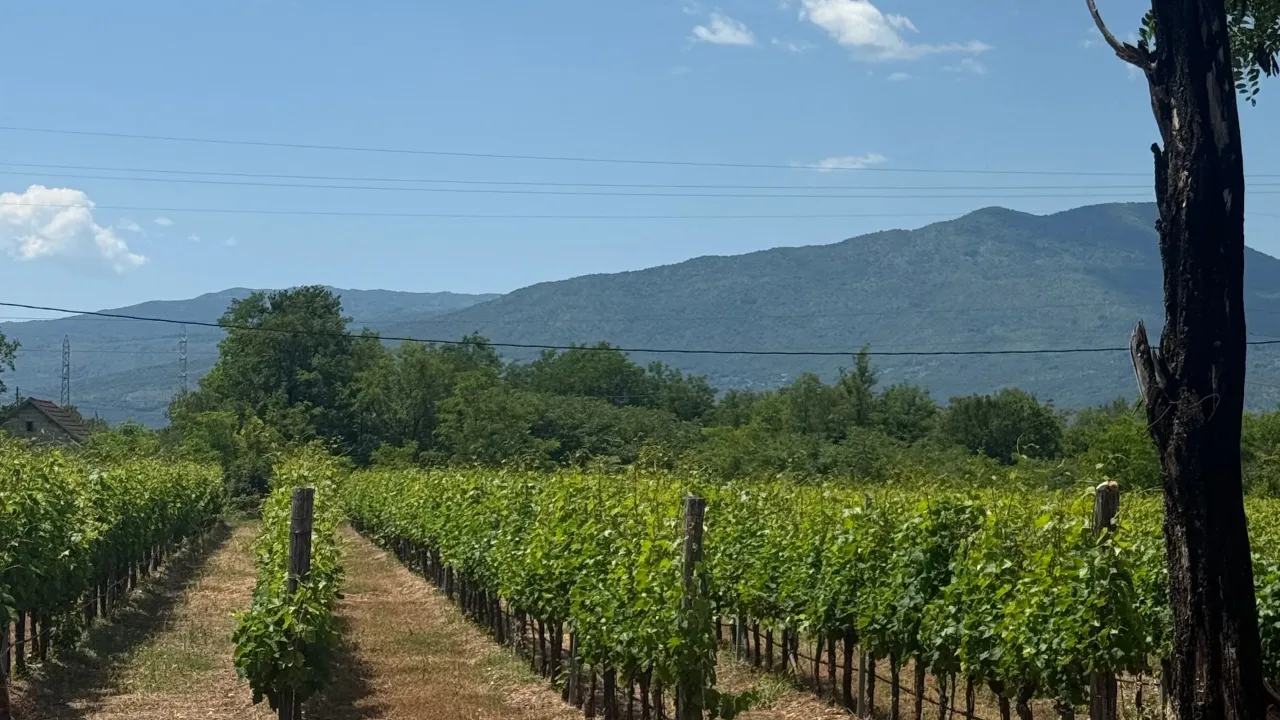 Prodaja, plac, 8924m², Jelenak, Danilovgrad