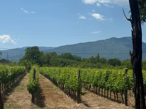 Zemljište in Jelenak