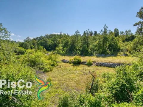 Prodaja, plac, Danilovgrad, Crna Gora - image 12