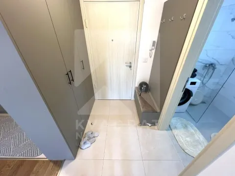 Izdavanje, jednosoban stan, 45m², Zagorič, Podgorica - image 7