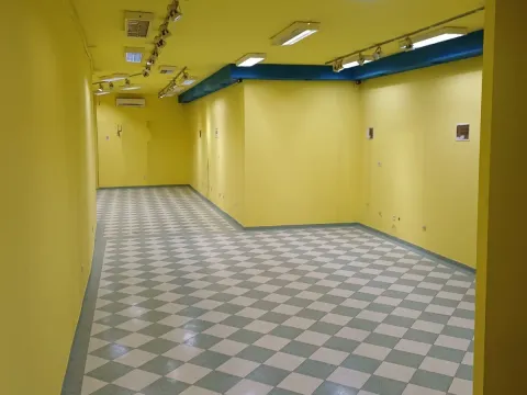 Rent, office space, 480m², Centar, Podgorica - image 1