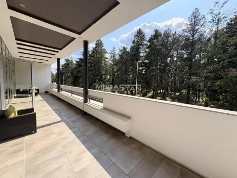 Izdavanje, četvorosoban stan, 220m², Savski Venac, Beograd - image 15