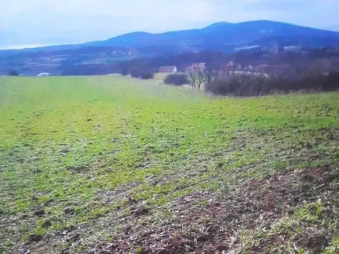 Prodaja, plac, 22671m², Mladenovac, Beograd - image 6