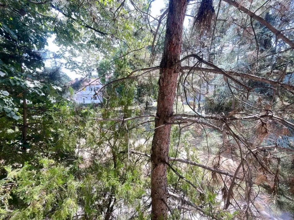 Prodaja, dvosoban stan, 57m², Železnik, Beograd