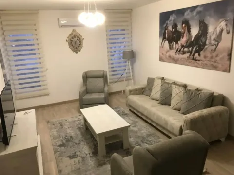 Izdavanje, jednosoban stan, 54m², Zabjelo, Podgorica - image 1