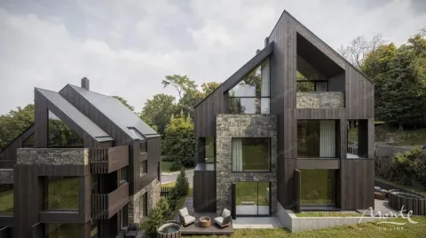 Eksterijer modernih vila sa tamnom drvenom fasadom i kamenim detaljima. - image 8