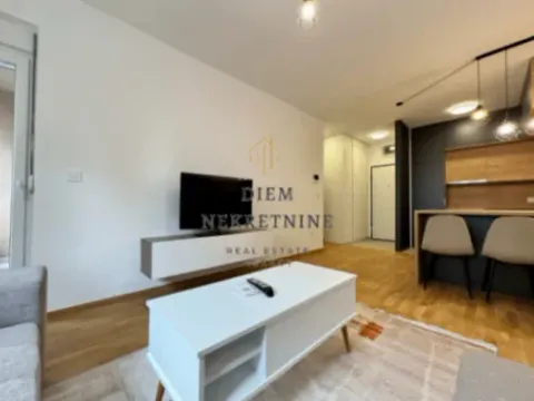 Izdavanje, jednosoban stan, 49m², Stari Aerodrom, Podgorica - image 9