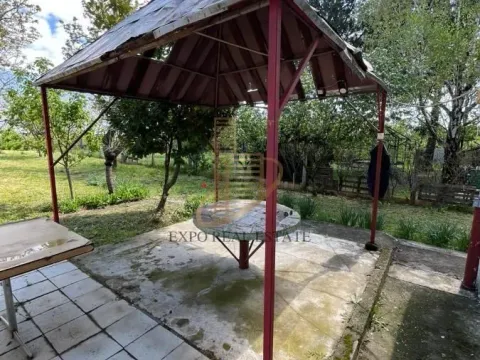 Prodaja, kuća, 100m², Maradik, Inđija - image 15