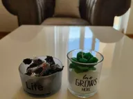 Izdavanje, dvosoban stan, 73m², Tuški Put, Podgorica - image 5