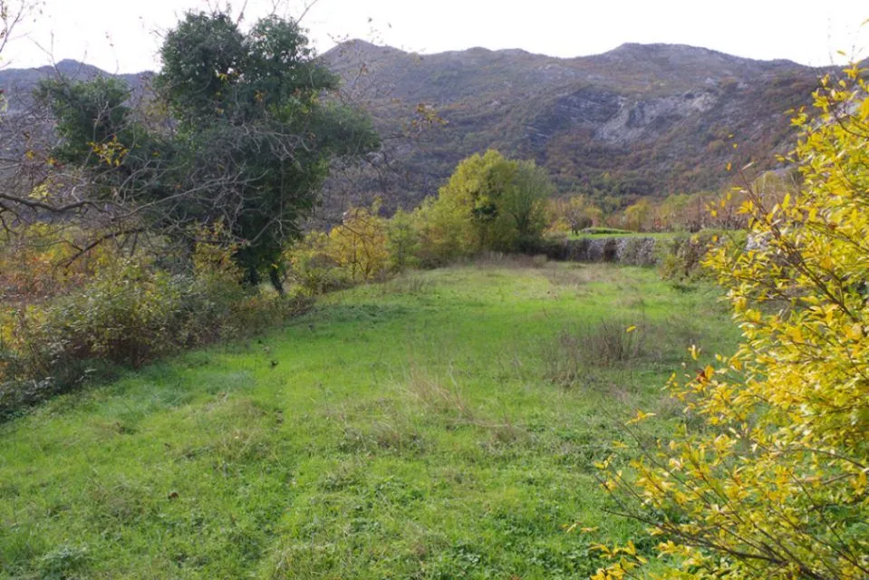 Prodaja, plac, 7000m², Dobrsko Selo, Cetinje