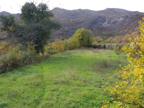 Prodaja, plac, 7000m², Dobrsko Selo, Cetinje - image 4