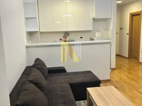 Izdavanje, jednosoban stan, 44m², Petrovaradin, Novi Sad - image 1