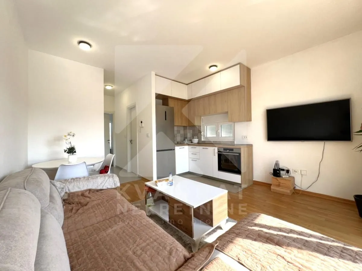 Izdavanje, jednosoban stan, 48m², Stari Aerodrom, Podgorica