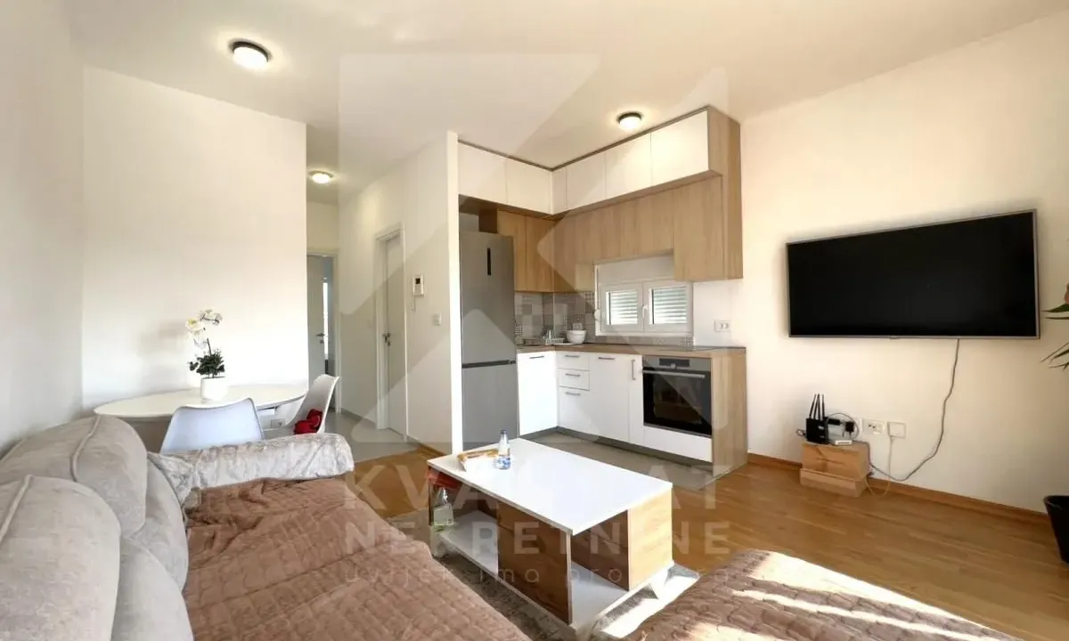 Rent, one bedroom apartment, 48m², Stari Aerodrom, Podgorica