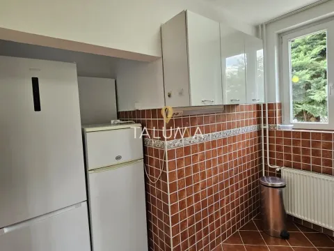 Izdavanje, kuća, 250m², Zagorič, Podgorica - image 4