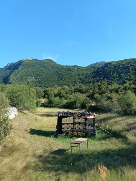 Prodaja, plac, 2000m², Njeguši, Cetinje - image 6