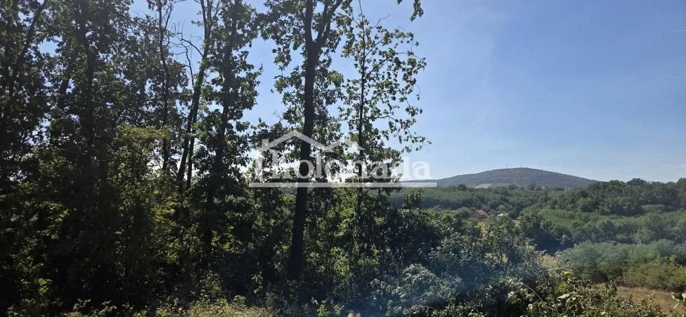 Pogled na šumu i prirodu u okolini.