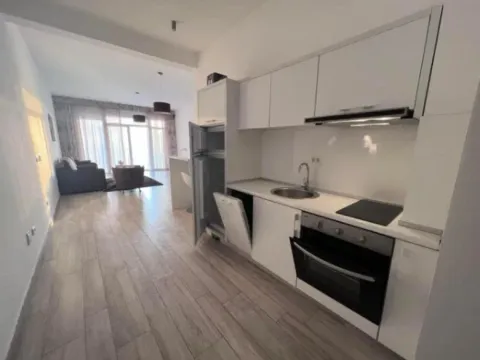 Rent, one bedroom apartment, 67m², Dobre Vode, Bar - image 6