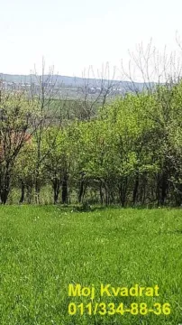 Zeleno dvorište sa travnjakom i pogledom na prirodu i rastinje. - image 5
