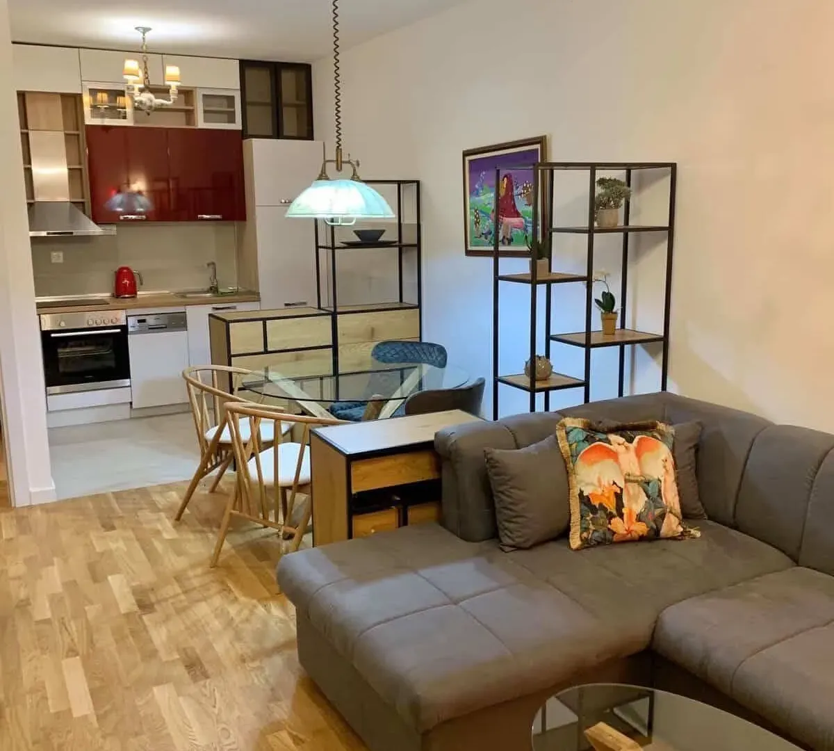 Rent, one bedroom apartment, 46m², Zabjelo, Podgorica